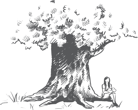bigtree Big Tree