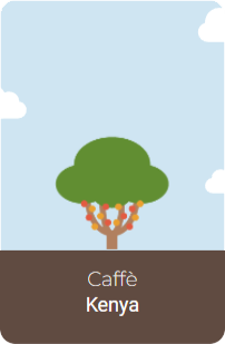 Coffe tree